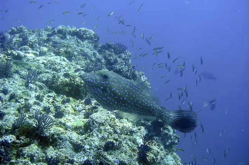 Visibilidad y claridad del agua en Los Arcos