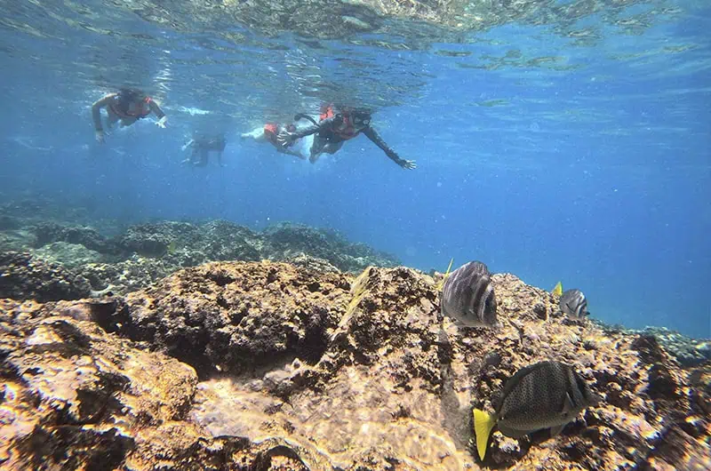 Snorkeling at Marietas Islands